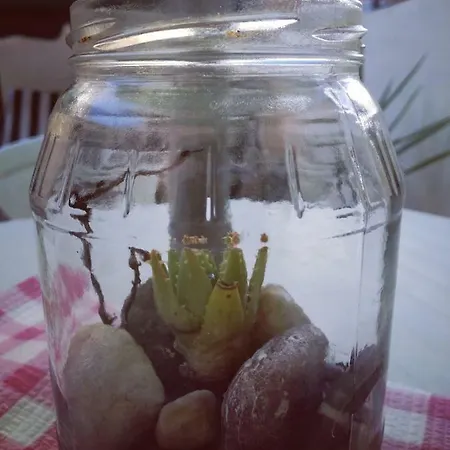 Apartmán Nonna Nina *